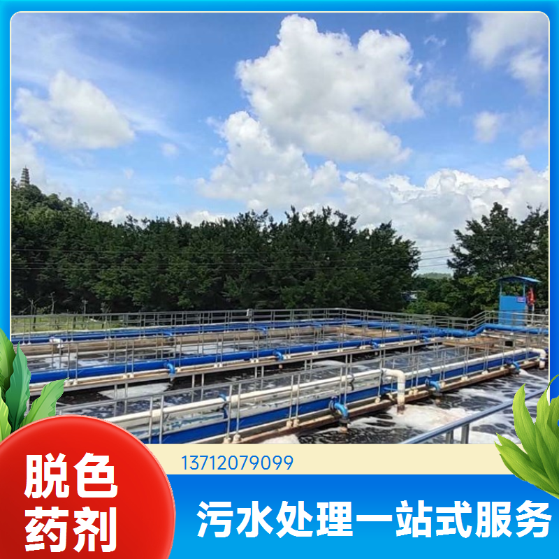 快速反应 造纸化工厂用 污水脱色剂 出水干净 蓝绅环保