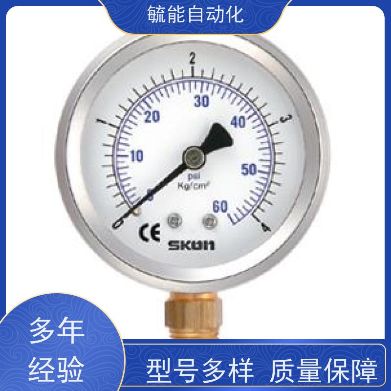 黑铁壳压力表 0-4BAR 0-60PSI 美标NPT螺纹