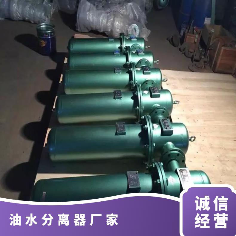 盛诺生产RYF-100油水分离器性能稳定滤芯使用寿命长过滤设备