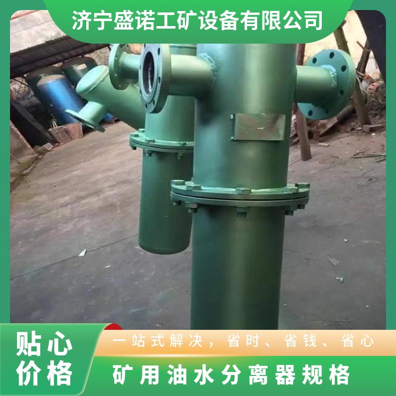 盛诺RYF-100油水分离器可定做滤芯使用寿命长过滤设备