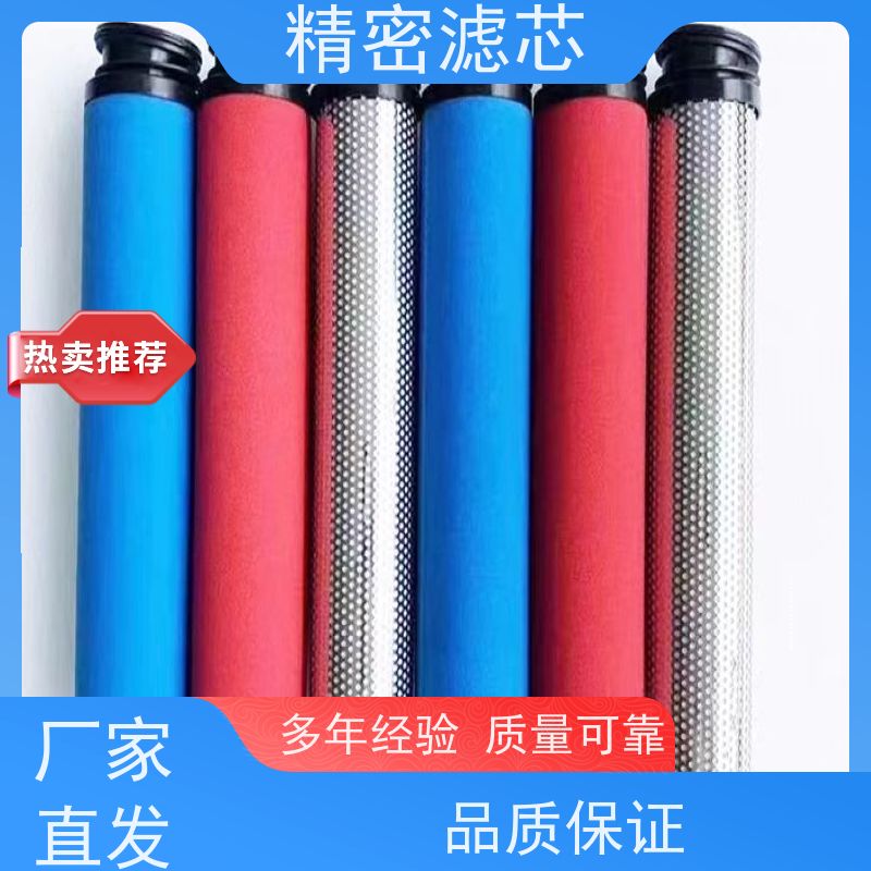 纯物理过滤瑞时精密滤芯（烧结活性炭） 过滤组件