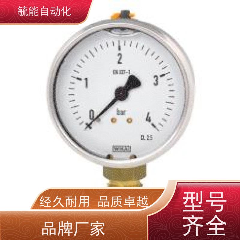 德国进口威卡WIKA压力表EN837-1耐震不锈钢测压液压表真空轴向表