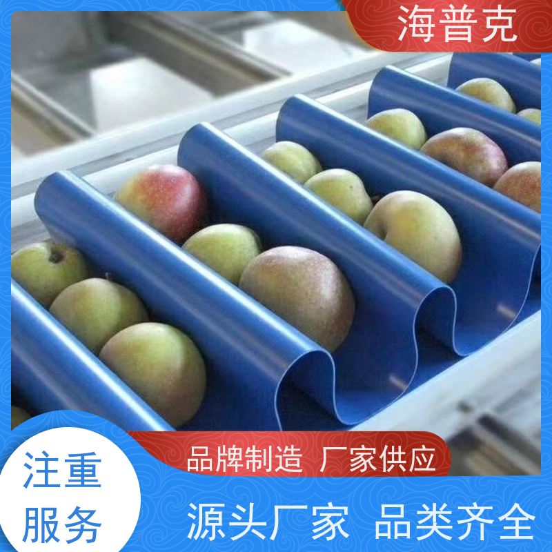 海普克 小型食品粮食 高强度耐拉伸 支持加工 爬坡裙边输送带