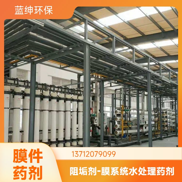 蓝绅环保 高分子聚合物 锅炉阻垢剂 绿色环保 节约成本 生产厂家