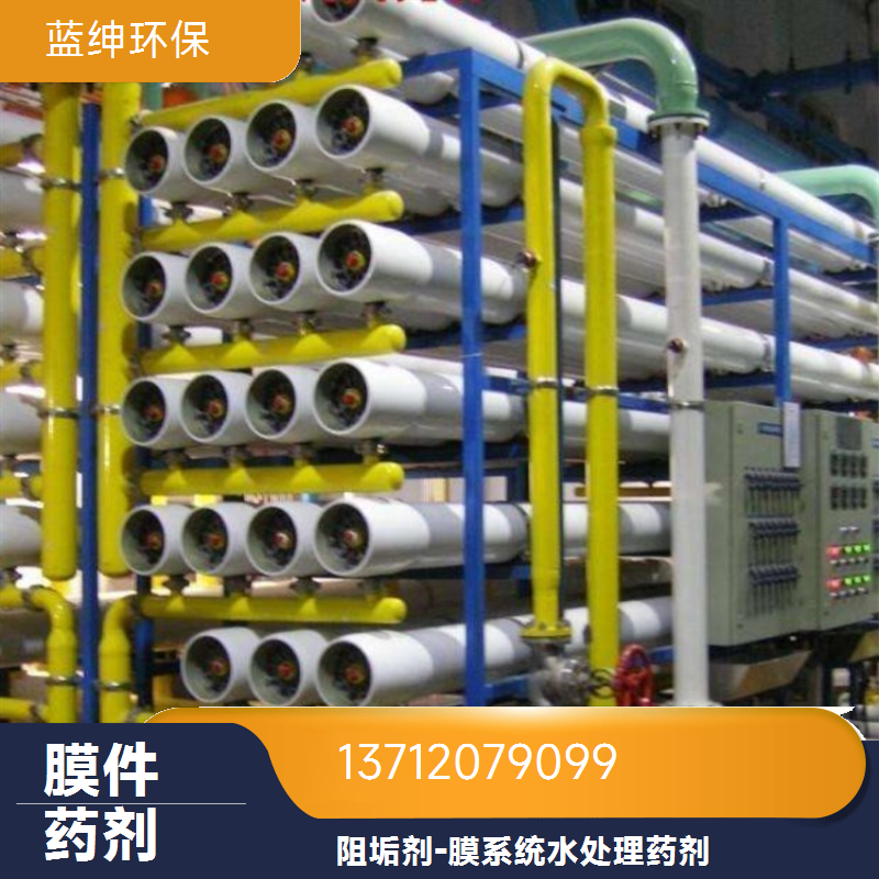蓝绅环保 高分子聚合物 缓释阻垢剂 RO膜分散剂 不易分解