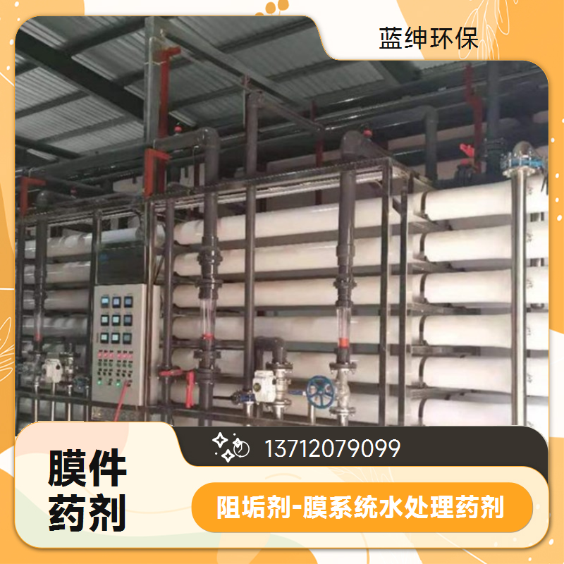 蓝绅环保 延长膜使用寿命 反渗透膜阻垢剂 碱性工业水处理 厂家直供