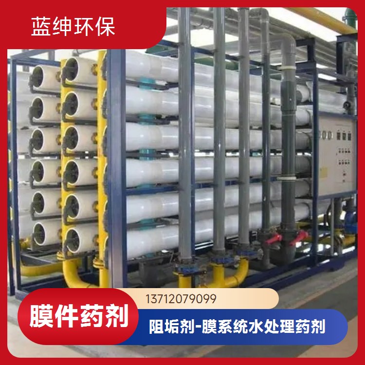 蓝绅环保 高分子聚合物 净水器阻垢剂 水处理药剂 生产厂家