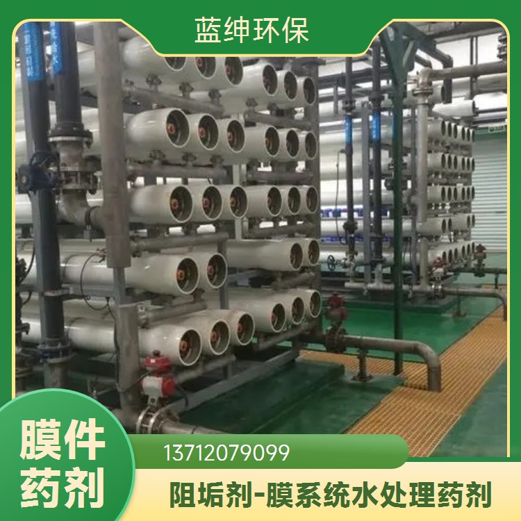 蓝绅环保 中央空调除垢 缓释阻垢剂 RO膜分散剂 厂家直供