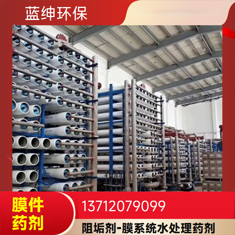 蓝绅环保 高分子聚合物 反渗透阻垢剂 绿色环保 节约成本 生产厂家