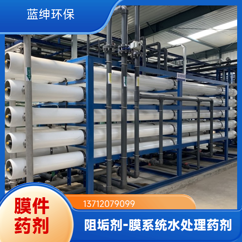 蓝绅环保 高分子聚合物 反渗透膜阻垢剂 水处理药剂 厂家直供