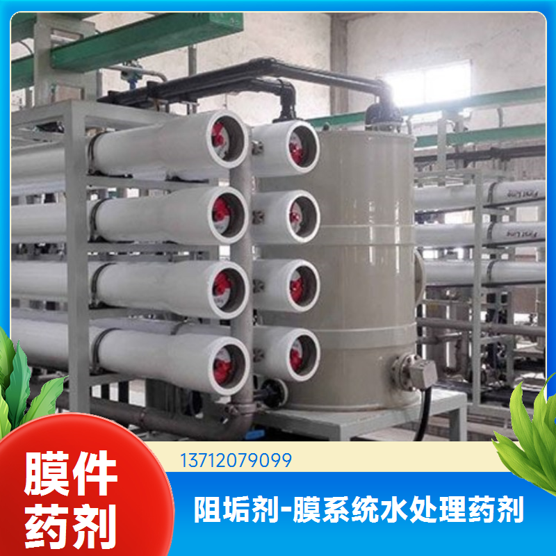 蓝绅环保 冷却塔除垢 蒸发器阻垢剂 碱性工业水处理 生产厂家