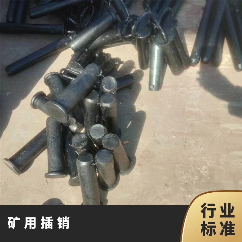 盛诺生产供应 矿车链接插销 可定做 铸钢材质 耐磨耐腐蚀