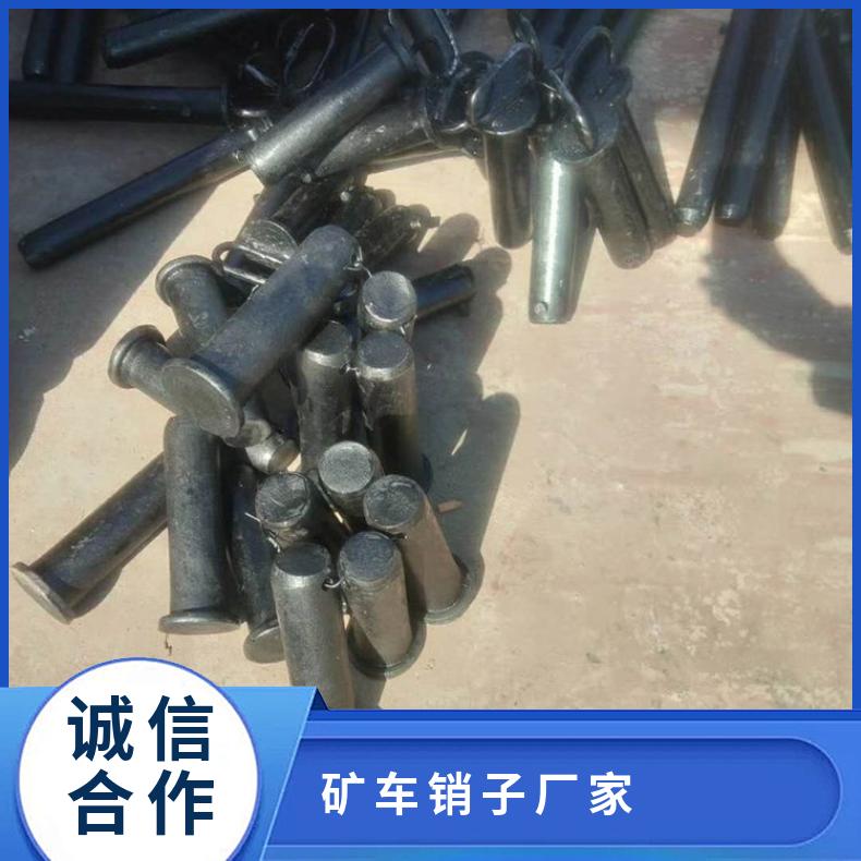 盛诺矿车销子可定做铸钢材质耐磨耐腐蚀其他