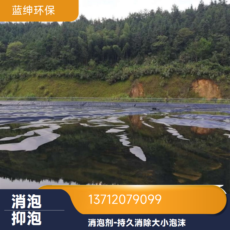 蓝绅环保 活性抑泡剂 消泡剂有机硅 厂家定制 持久抑泡稳