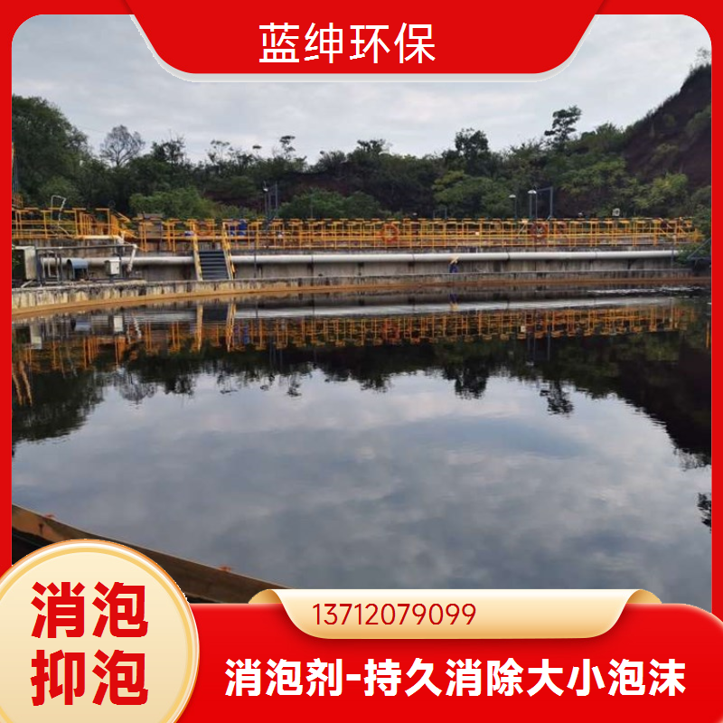 蓝绅环保 印刷造纸水处理 聚醚酯消泡剂 定制生产 适用范围广