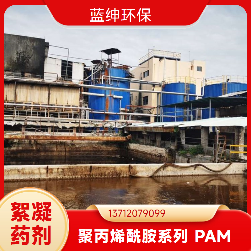 星翔 聚丙烯酰胺 PAM絮凝剂 工业污泥废水处理沉淀药剂 大型厂家
