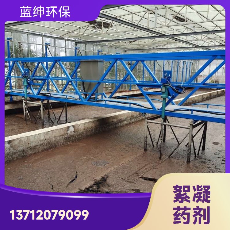 碧晟科技 两性离子聚丙烯酰胺 食品加工废水处理 强力絮凝剂