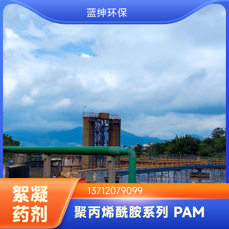 星翔 聚丙烯酰胺 PAM净水絮凝剂 蓝绅Lasen环保 污水处理 沉淀剂
