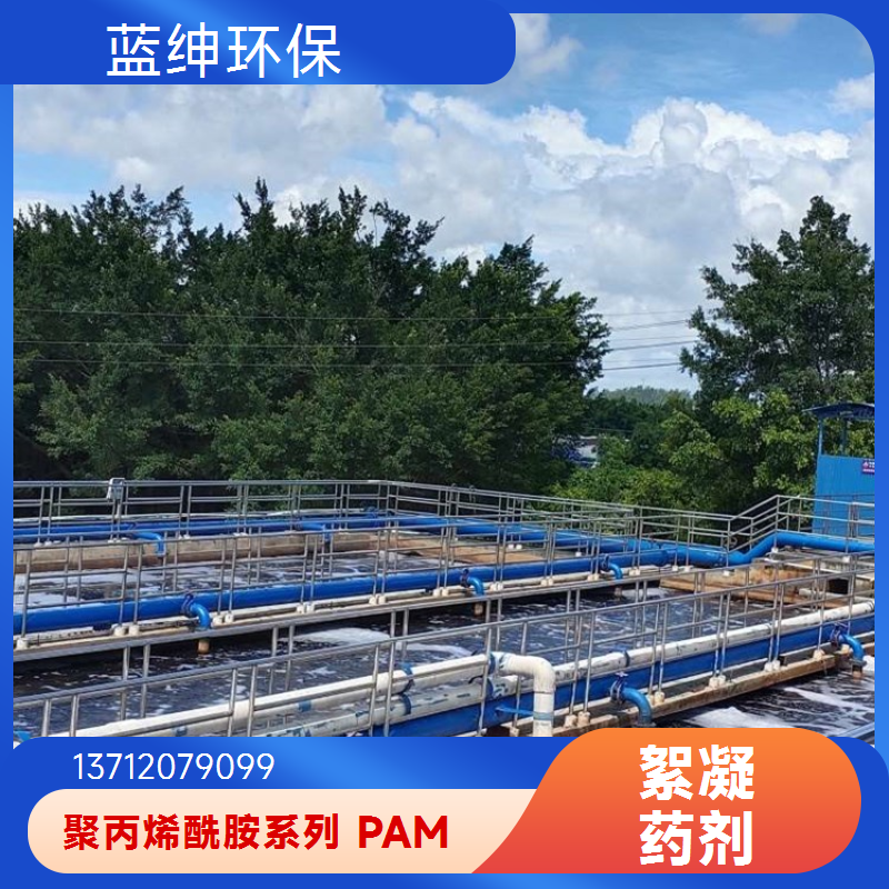 阳离子聚丙烯酰胺 碧晟科技 高分子量 发酵废水净化强动力引擎