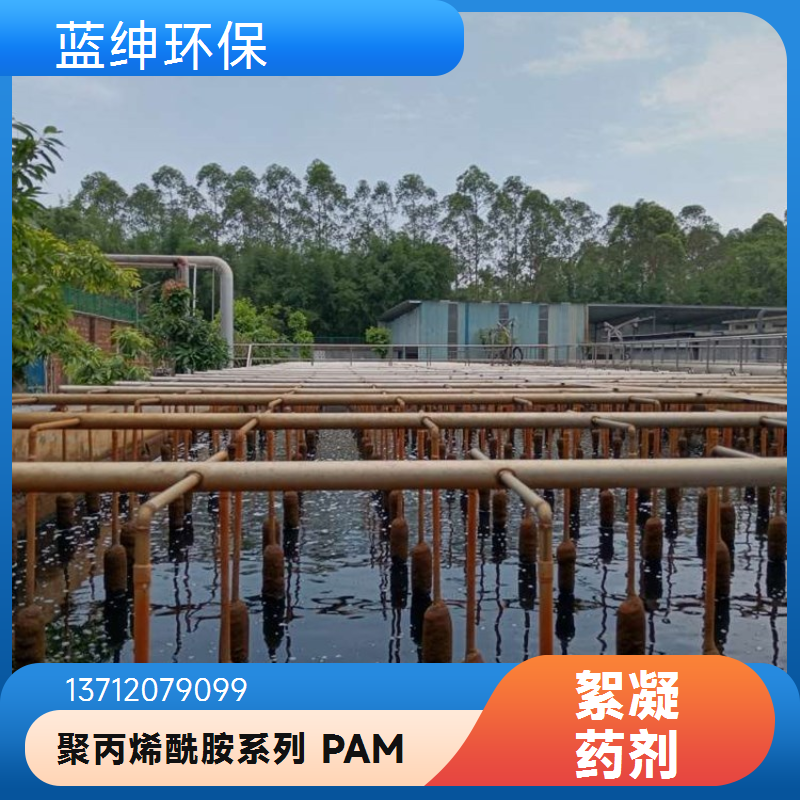 星翔 聚丙烯酰胺 絮凝剂 阴阳非离子污泥脱水剂 废水处理药剂