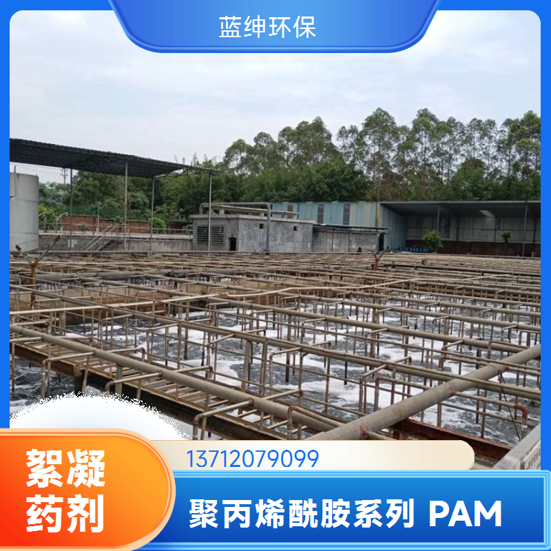 阴离子聚丙烯酰胺 碧晟科技 1500 万分子量 废水处理凝聚先锋