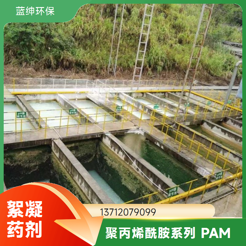聚丙烯酰胺PAM阴/阳离子养殖印染医院工业废水叠螺带式脱色剂药剂