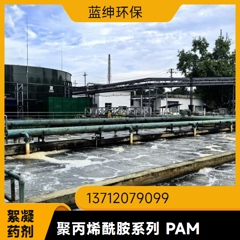 阳离子聚丙烯酰胺 碧晟科技 高分子量 污泥脱水凝聚快准稳