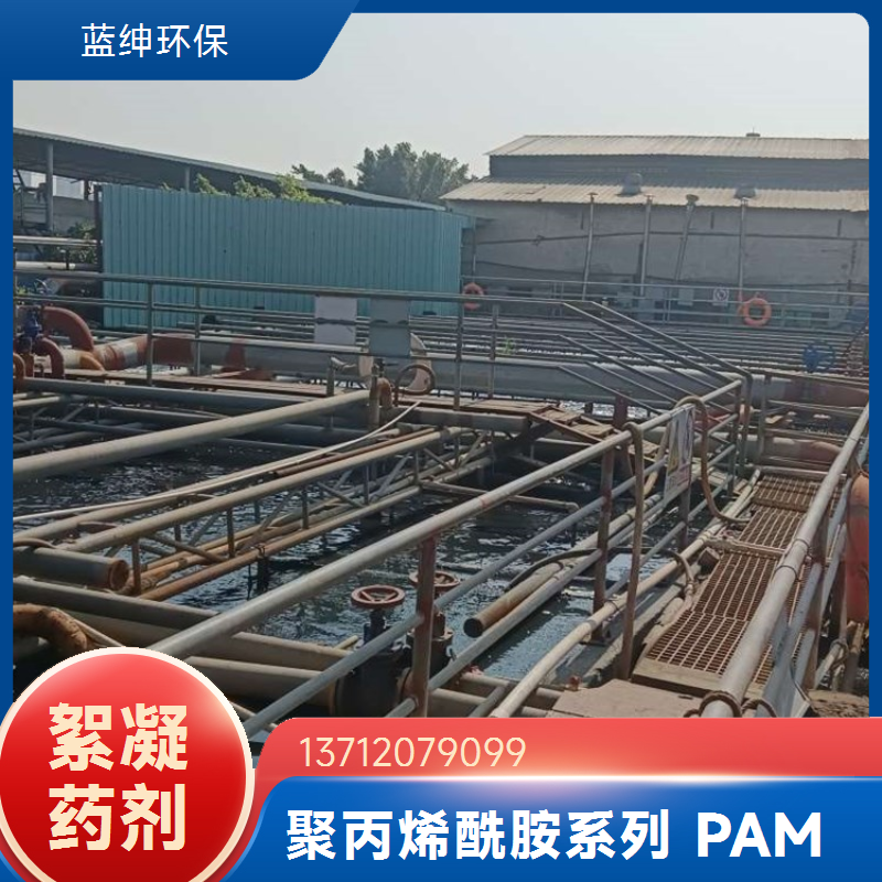 阳离子聚丙烯酰胺 碧晟科技 高分子量 制药废水净化实力派之选