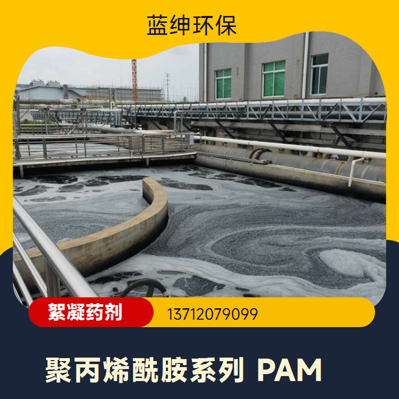 碧晟科技 离子度 82% 阳离子聚丙烯酰胺 污水净化凝聚之星品