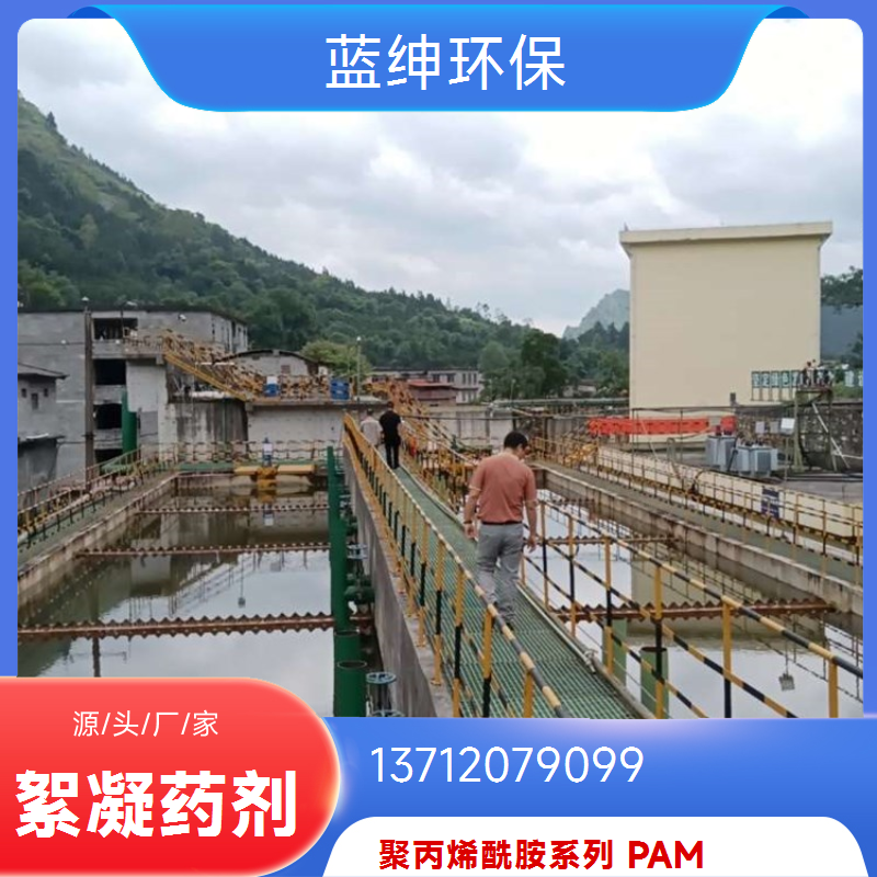 两性离子聚丙烯酰胺 碧晟科技 1300 万分子量 化工废水处理凝聚强
