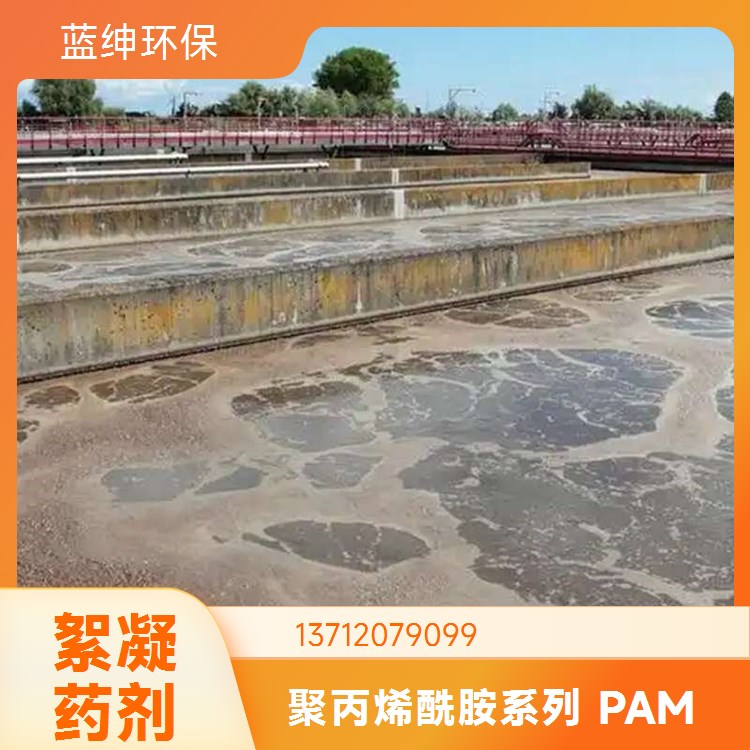 聚丙烯酰胺 辉昂环保 PAM废水处理污泥脱水净水絮凝剂