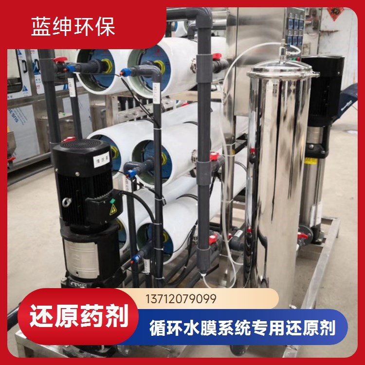 蓝绅环保 工业清洗剂 反渗透还原剂 纯水系统预处理 源头厂家