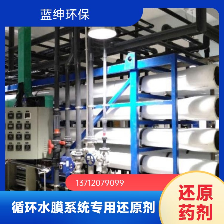 蓝绅环保 工业纺织污水处理 反渗透还原剂 杀菌除味恢复剂 源头厂家
