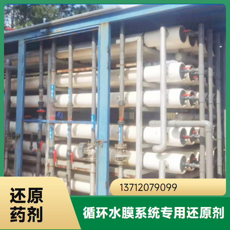 蓝绅环保 工业清洗剂 强力还原剂 杀菌除味恢复剂 厂家直供