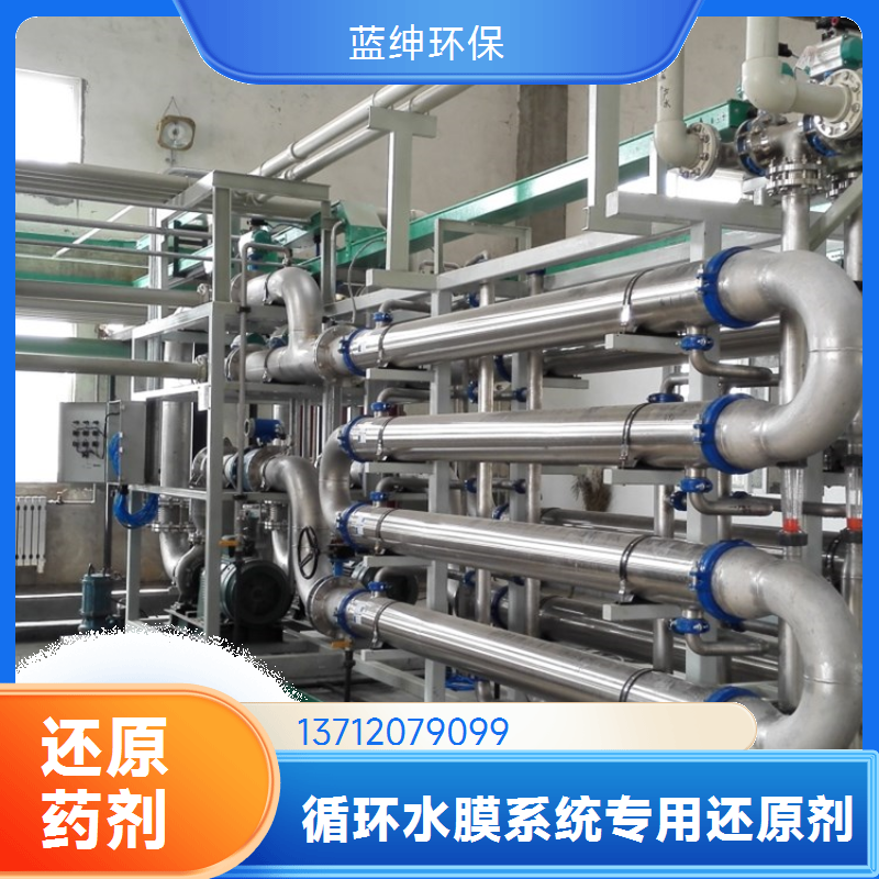 蓝绅环保 RO膜系统药剂 强力还原剂 杀菌除味恢复剂 厂家直供