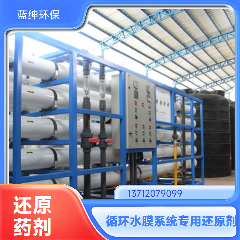 蓝绅环保 工业级除垢剂 除臭还原剂 杀菌除味恢复剂 厂家供应