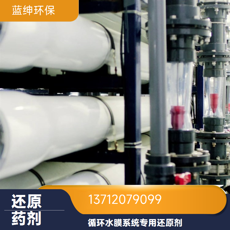 蓝绅环保 ro膜循环水处理 反渗透还原剂 有效解决水中余氯 厂家直供