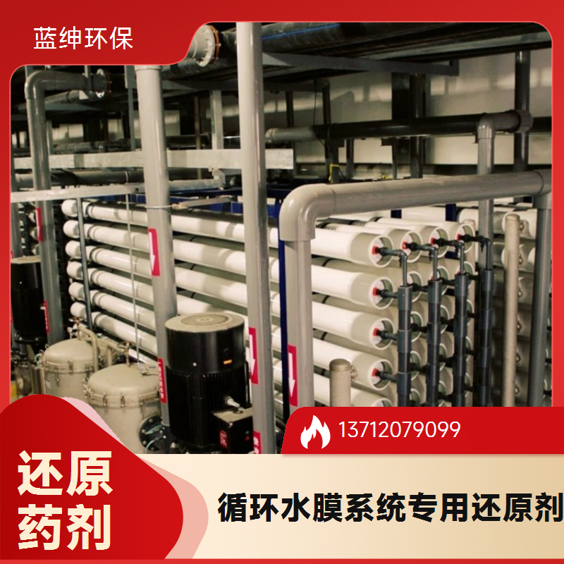 蓝绅环保 防氧化膜除氯剂 反渗透膜还原剂 杀菌除味恢复剂 生产厂家