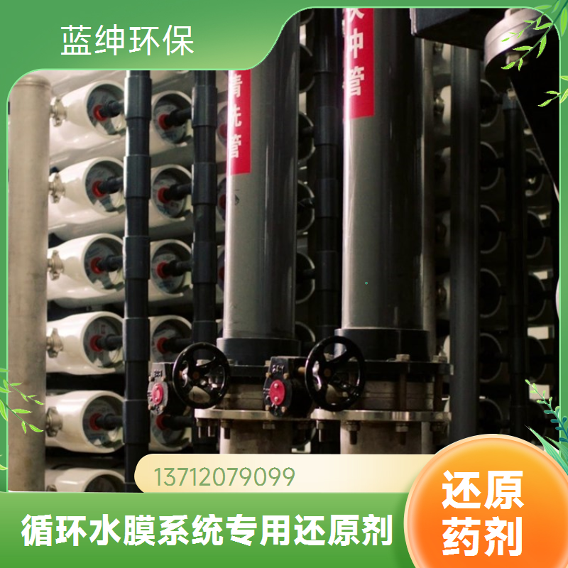 蓝绅环保 ro膜循环水处理 还原剂 防止膜氧化去除余氯 厂家直供