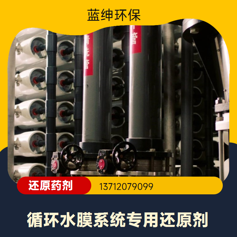蓝绅环保 工业级除垢剂 反渗透膜还原剂 高效去除性能稳定 厂家供应