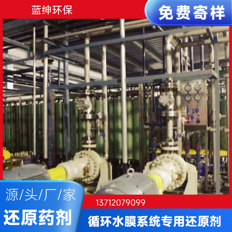 蓝绅环保 ro膜循环水处理 强力还原剂 纯水系统预处理 生产厂家