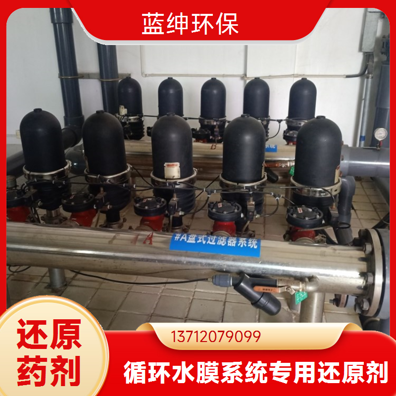 蓝绅环保 RO膜系统药剂 还原剂 有效解决水中余氯 厂家直供