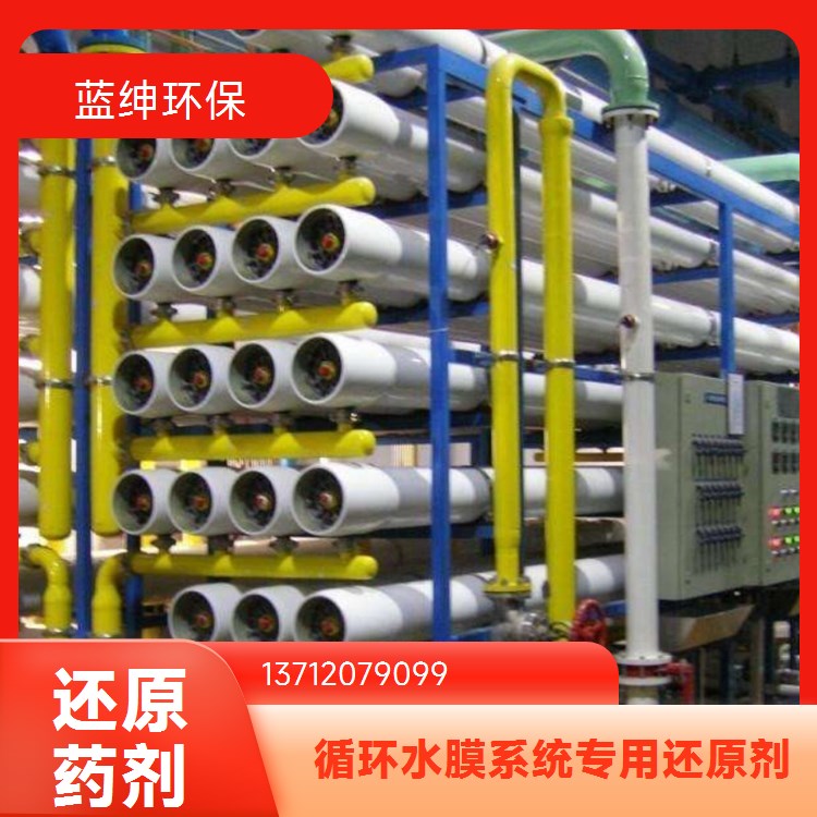 蓝绅环保 工业级除垢剂 反渗透还原剂 防止膜氧化去除余氯 厂家供应