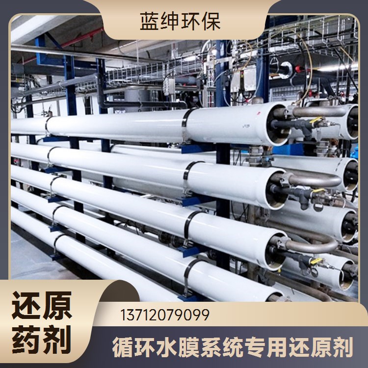 蓝绅环保 工业级除垢剂 反渗透膜还原剂 纯水系统预处理 厂家直供