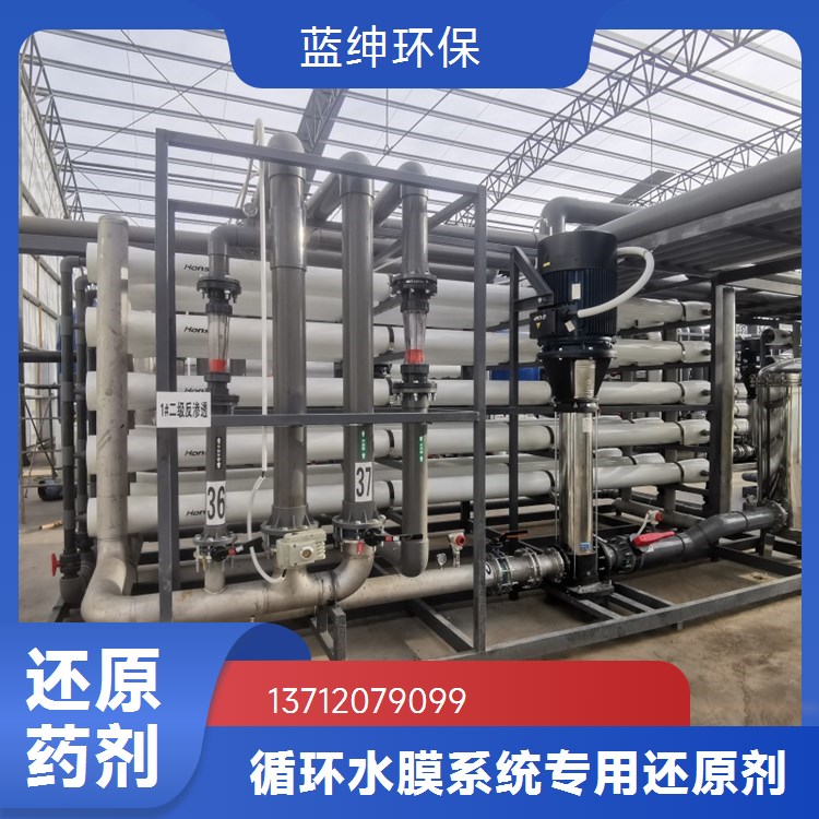 蓝绅环保 工业纺织污水处理 除臭还原剂 高效去除性能稳定 厂家直供