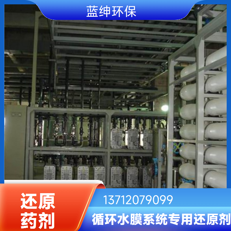 蓝绅环保 ro膜循环水处理 除臭还原剂 杀菌除味恢复剂 厂家供应