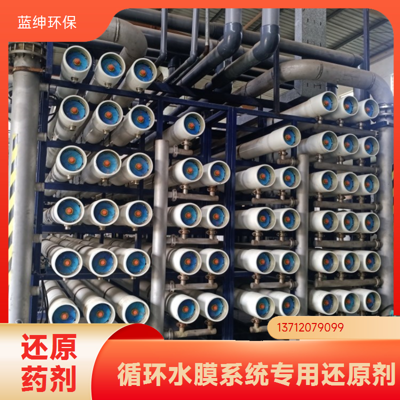 蓝绅环保 RO膜系统药剂 反渗透还原剂 高效去除性能稳定 源头厂家