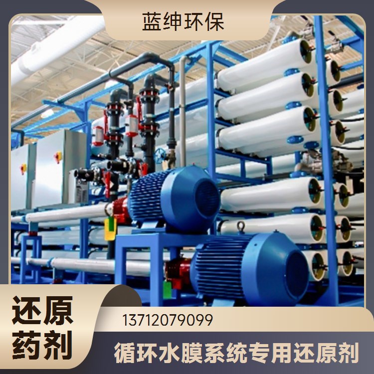 蓝绅环保 工业级除垢剂 反渗透膜还原剂 高效去除性能稳定 源头厂家