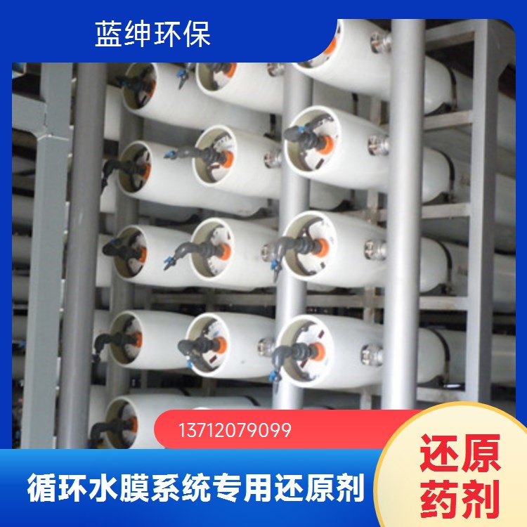 蓝绅环保 工业级除垢剂 除臭还原剂 纯水系统预处理 品牌厂家