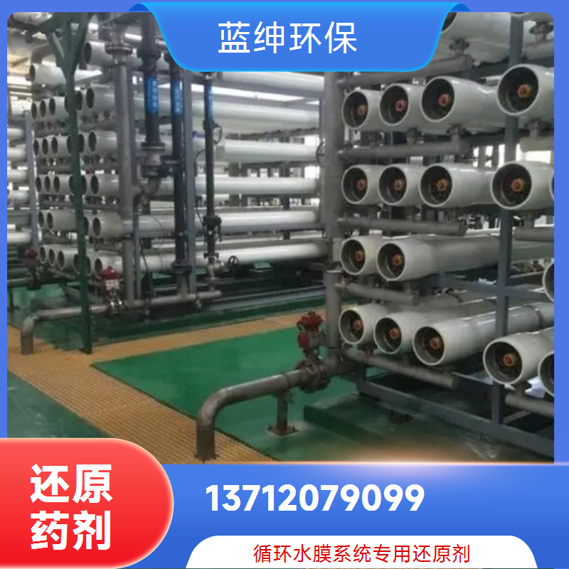 蓝绅环保 ro膜循环水处理 反渗透膜还原剂 纯水系统预处理 品牌厂家